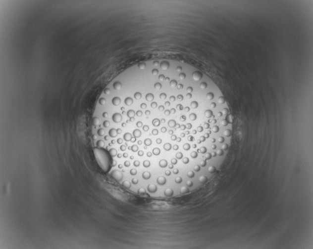 X0000081600519200701151057