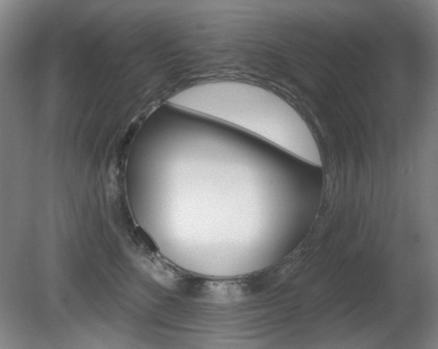 X0000081600520200701151057