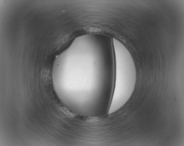 X0000081600521200701151057