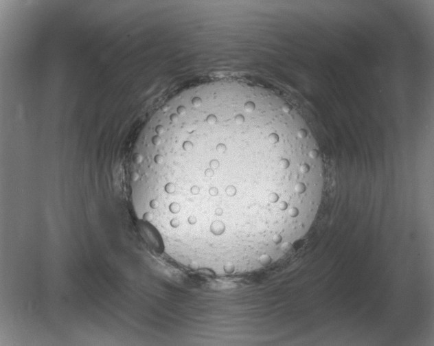 X0000081600523200701151057