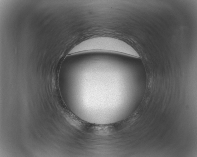 X0000081600524200701151057