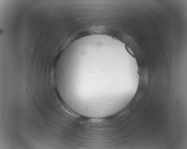 X0000081600526200701151057