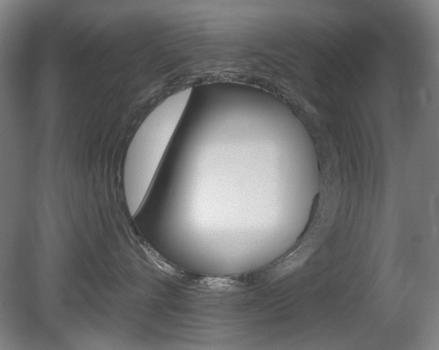 X0000081600528200701151057