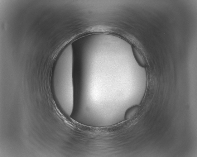 X0000081600529200701151056