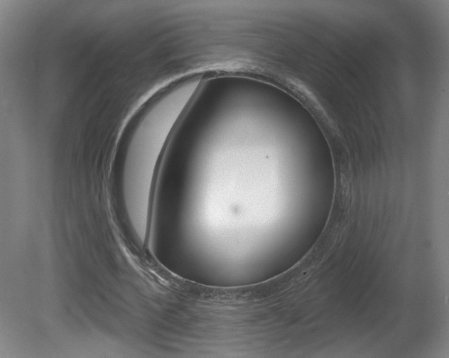 X0000081600532200701151056
