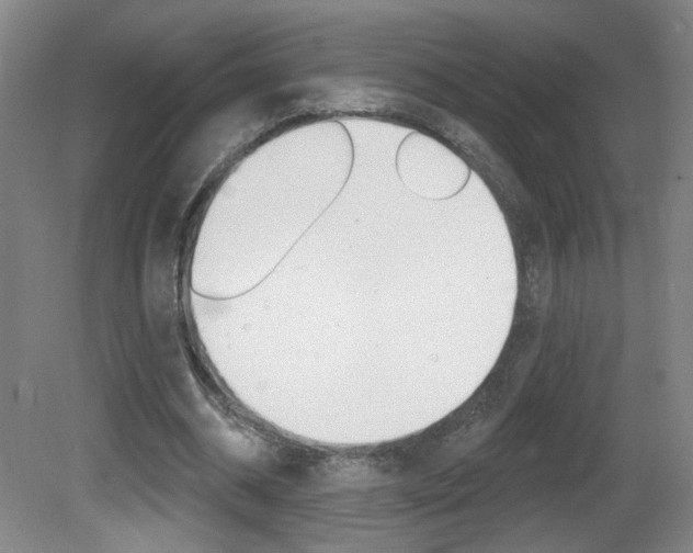 X0000081600534200701151056