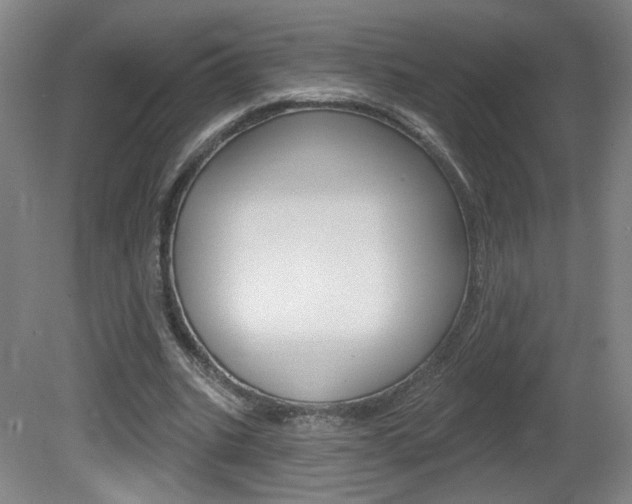 X0000081600535200701151056