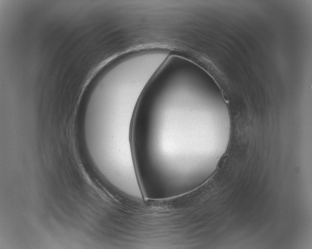 X0000081600536200701151056