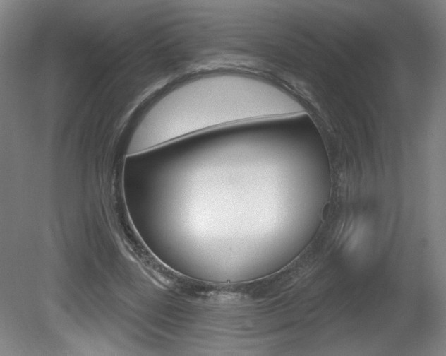 X0000081600539200701151056
