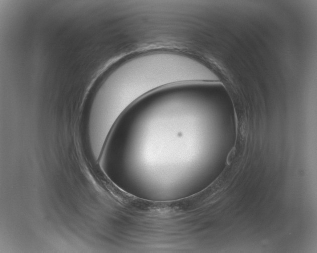 X0000081600540200701151056