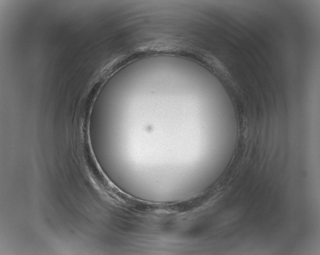 X0000081600542200701151056
