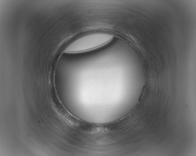 X0000081600543200701151056