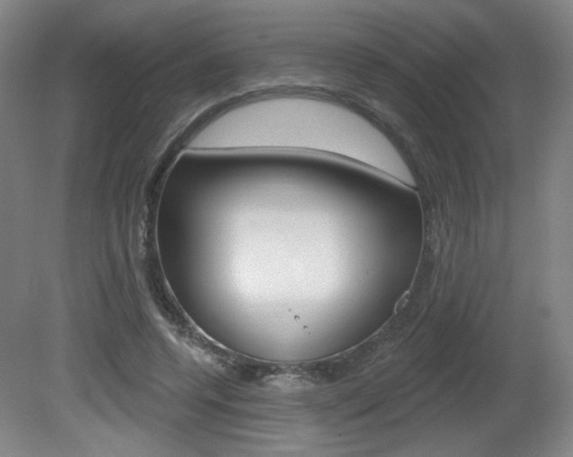 X0000081600544200701151056