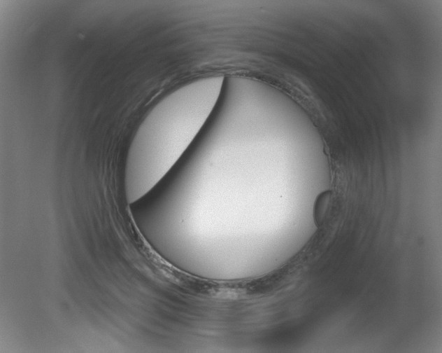 X0000081600549200701151056