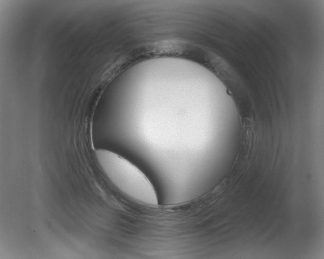 X0000081600550200701151056