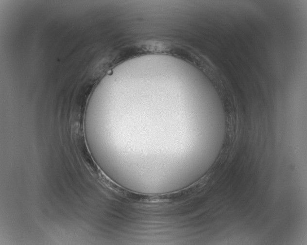 X0000081600553200701151056