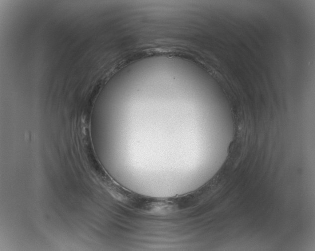 X0000081600555200701151056