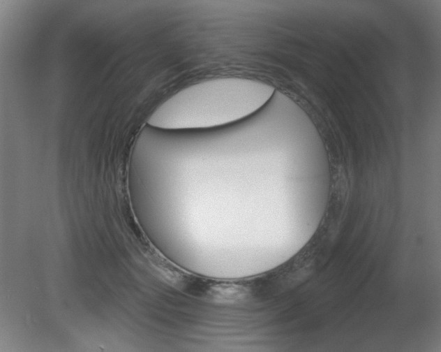 X0000081600557200701151057