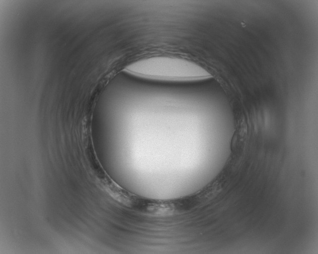 X0000081600559200701151057