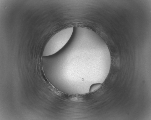 X0000081600561200701151057
