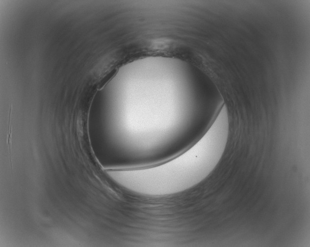 X0000081600562200701151057
