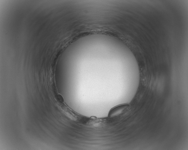 X0000081600563200701151057
