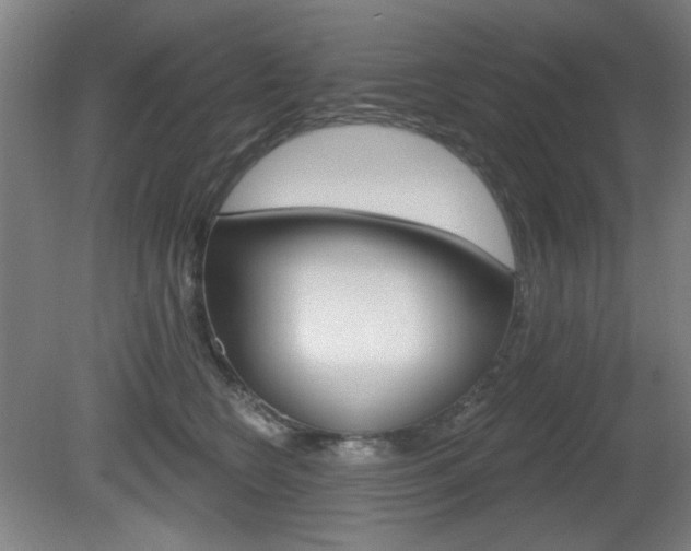 X0000081600566200701151057