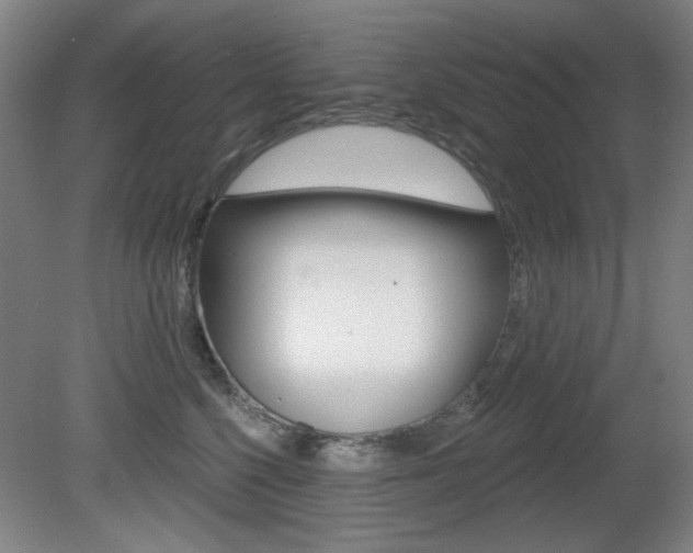 X0000081600568200701151057