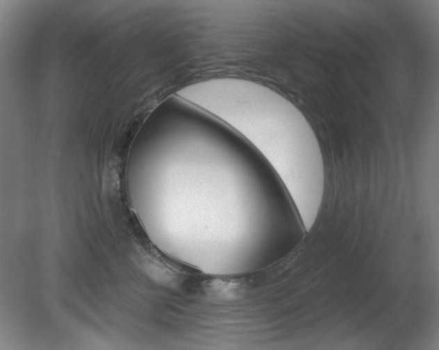 X0000081600570200701151057