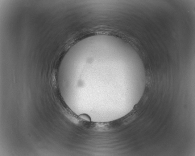 X0000081600573200701151057