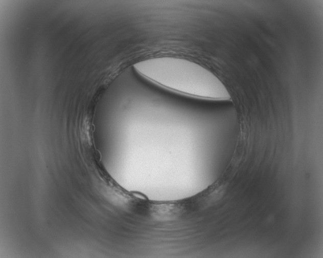 X0000081600575200701151057