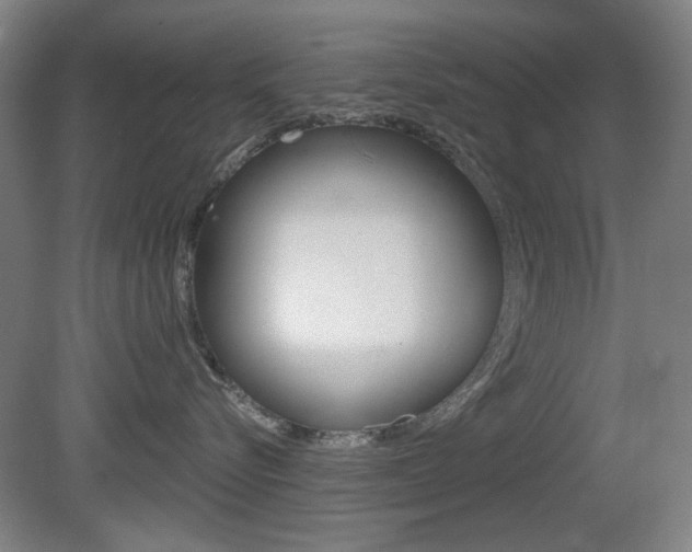 X0000081600576200701151057