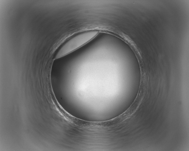 X0000081600577200701151056