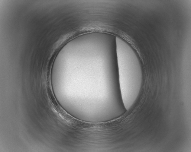X0000081600578200701151056