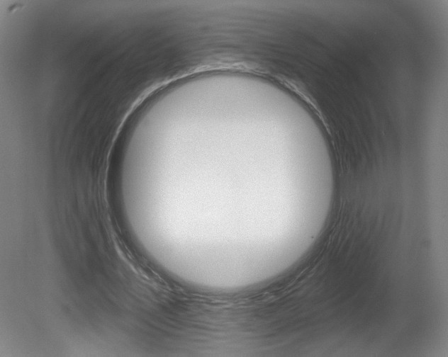 X0000081600579200701151056