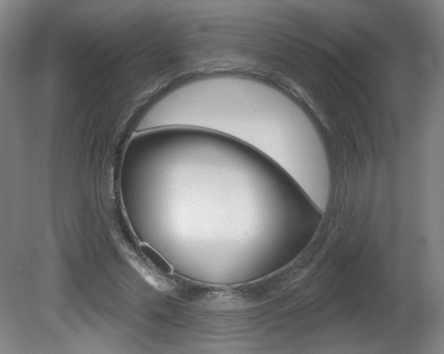 X0000081600589200701151056
