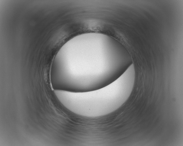 X0000081600595200701151056
