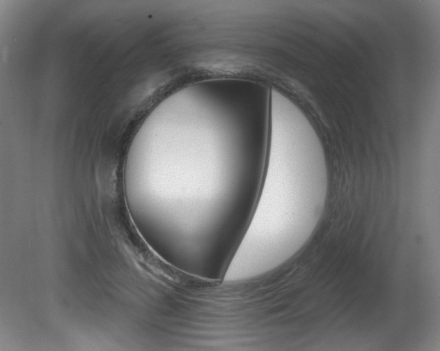X0000081600596200701151056