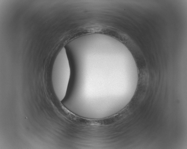 X0000081600598200701151056
