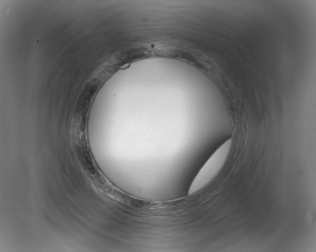 X0000081600599200701151056