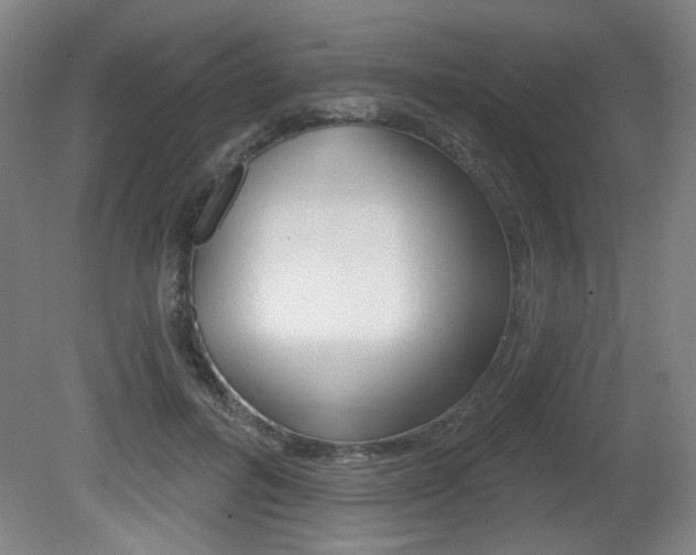X0000081600600200701151056