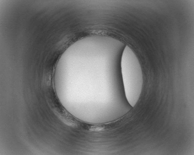 X0000081600602200701151056