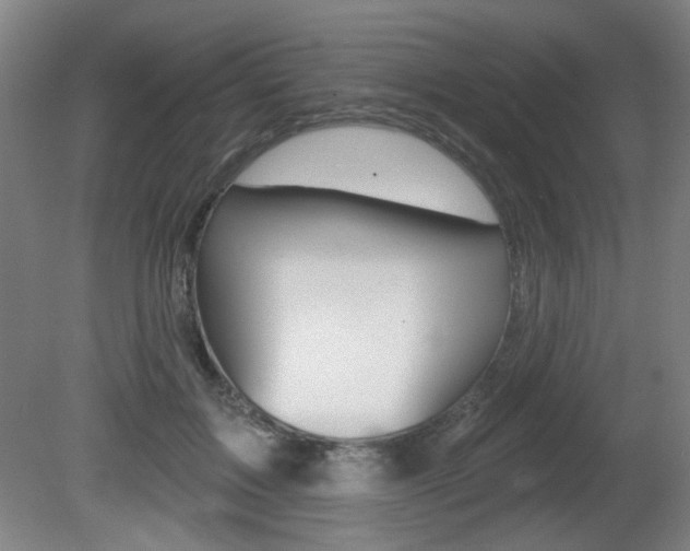 X0000081600603200701151056