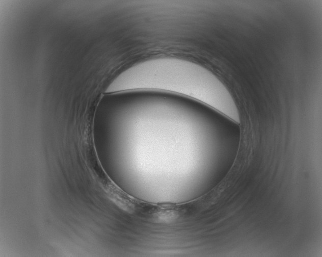 X0000081600604200701151056
