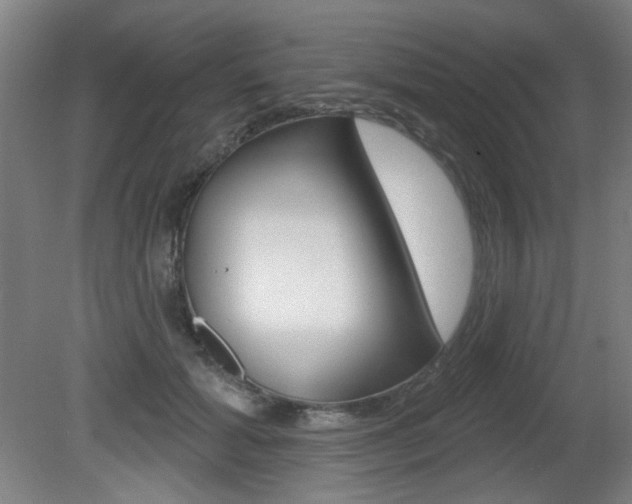 X0000081600605200701151056