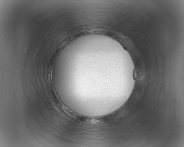 X0000081600607200701151055