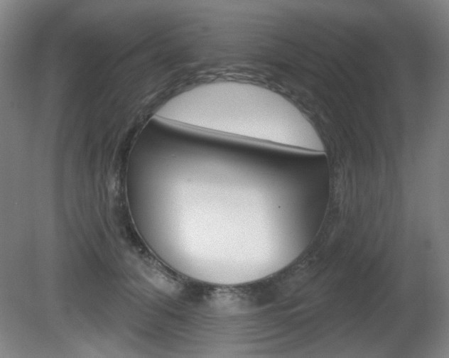X0000081600608200701151055