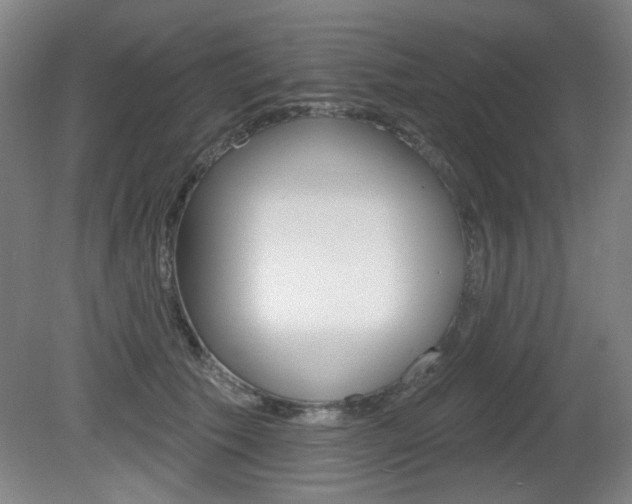 X0000081600609200701151055