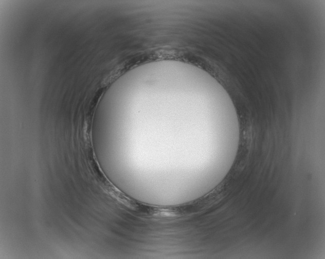 X0000081600610200701151055