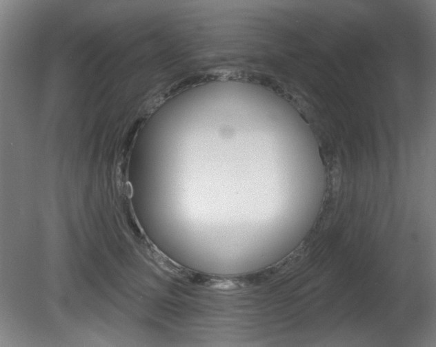 X0000081600611200701151055